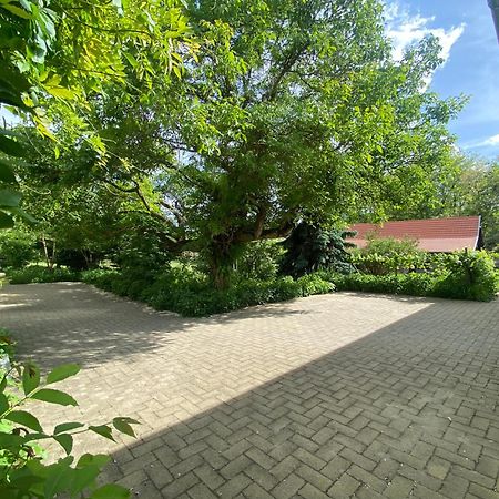Apartament Racz Birtok Lajosmizse Zewnętrze zdjęcie