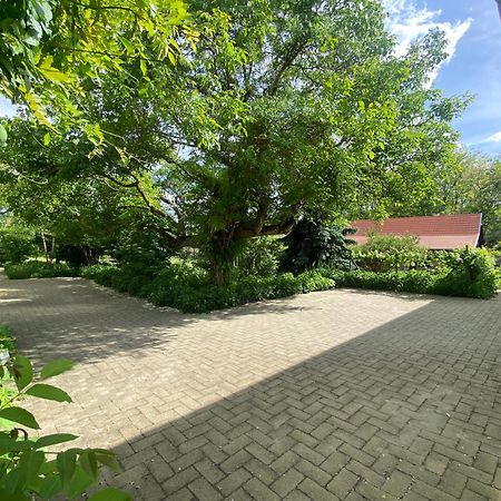 Apartament Racz Birtok Lajosmizse Zewnętrze zdjęcie
