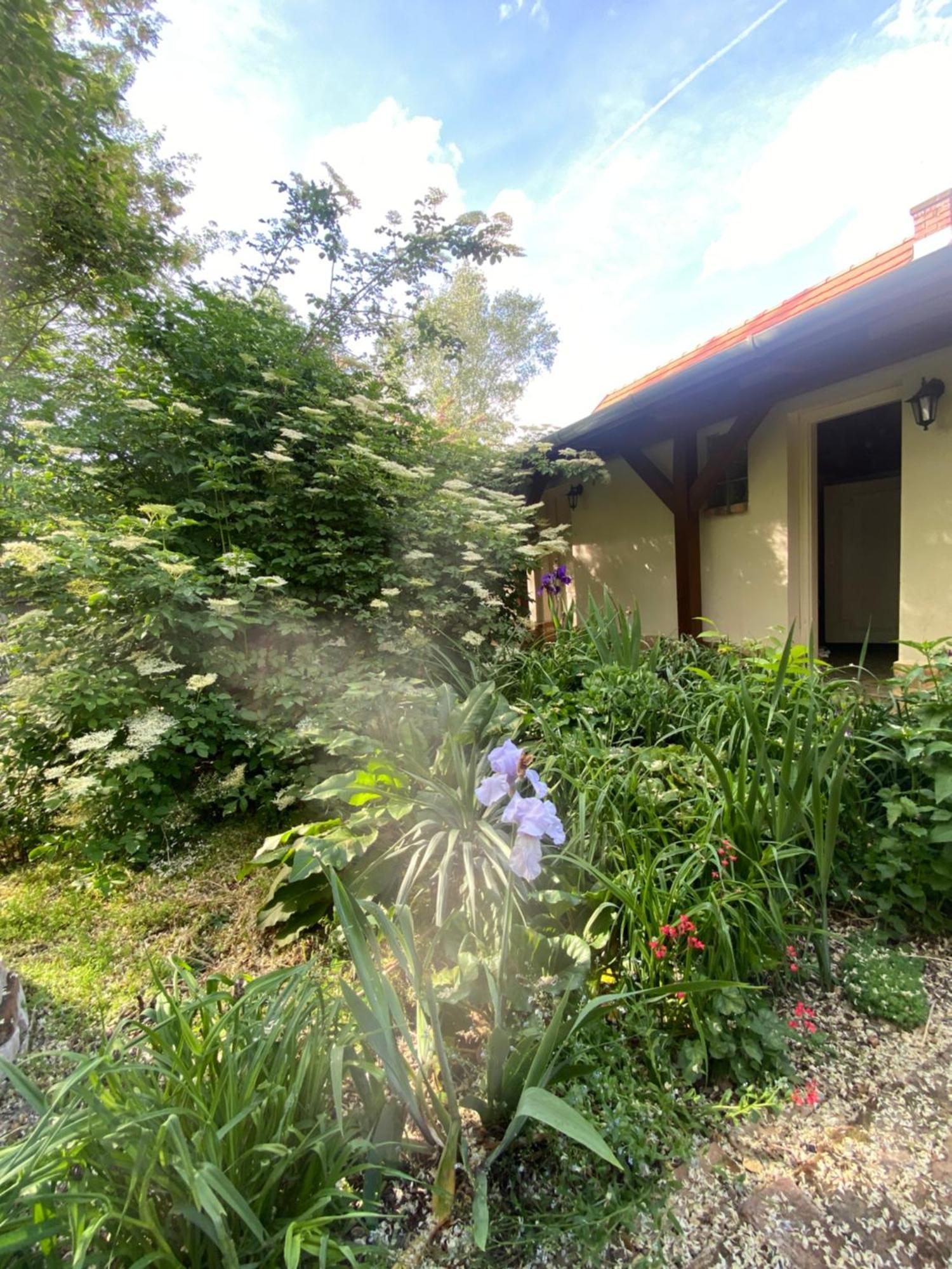 Apartament Racz Birtok Lajosmizse Zewnętrze zdjęcie