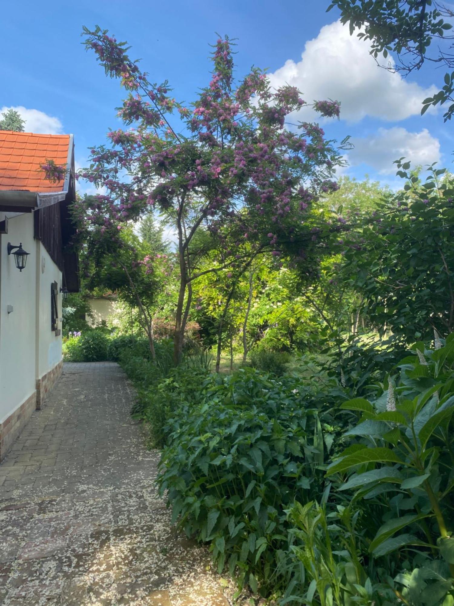 Apartament Racz Birtok Lajosmizse Zewnętrze zdjęcie