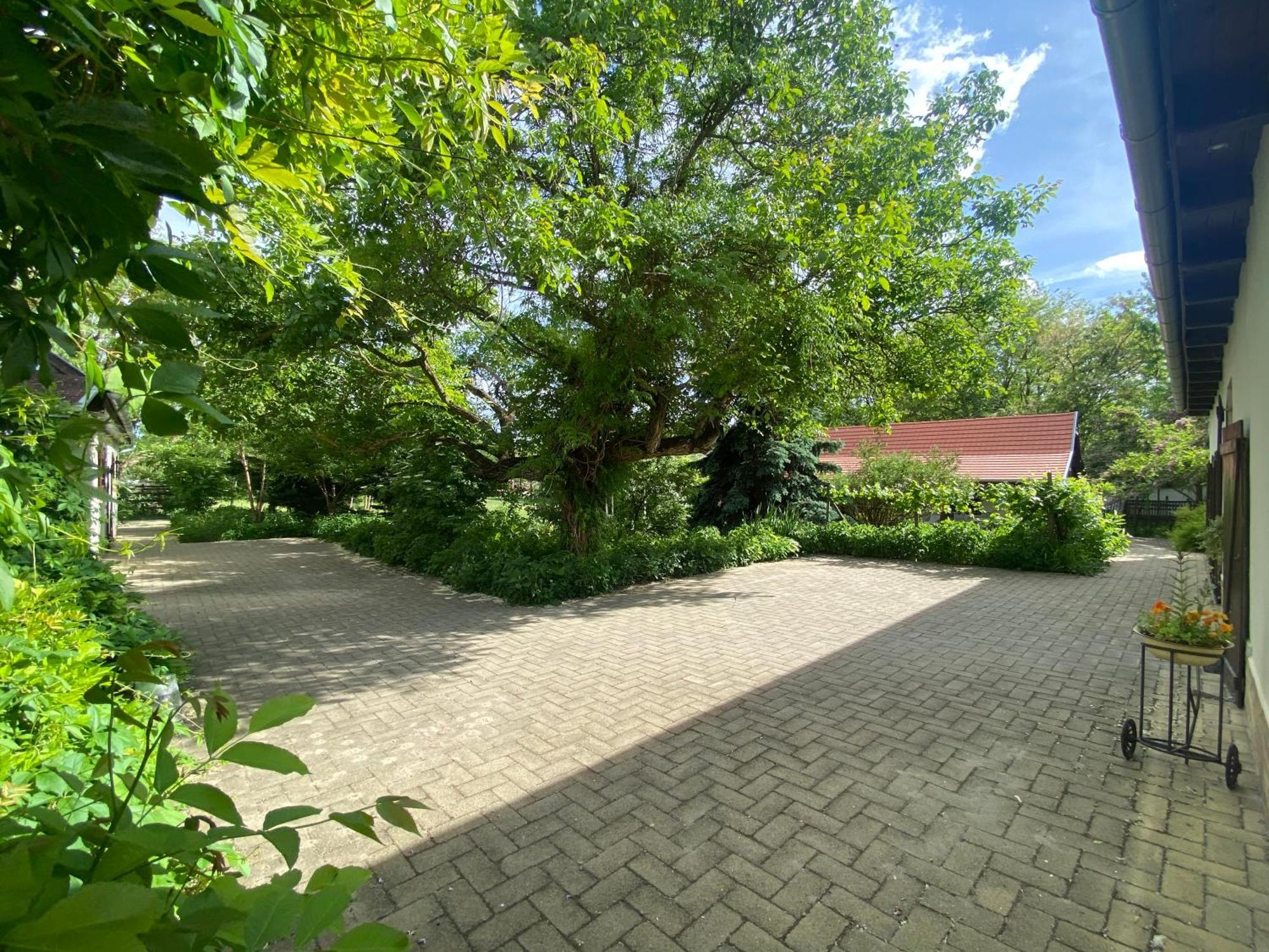 Apartament Racz Birtok Lajosmizse Zewnętrze zdjęcie