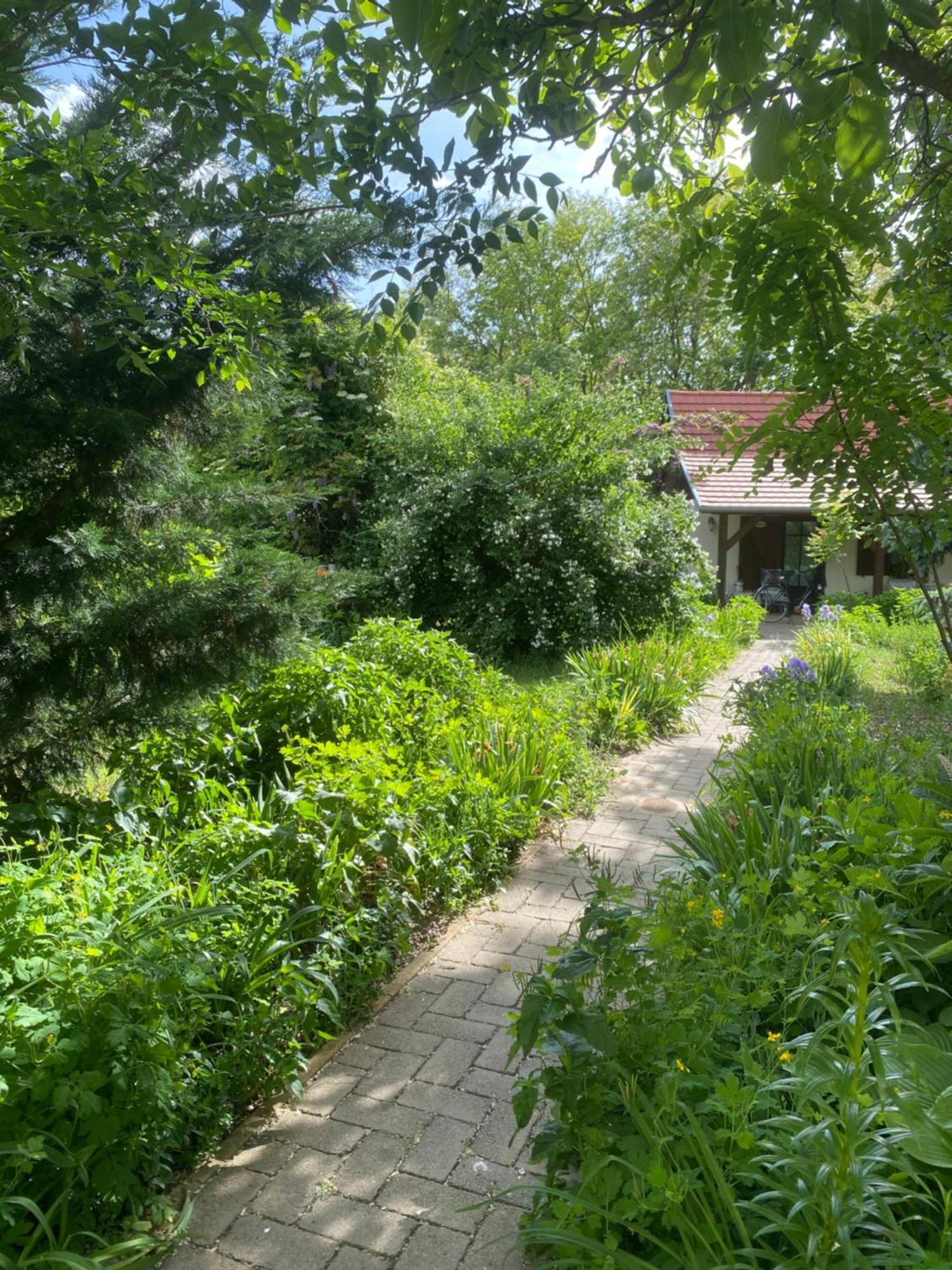 Apartament Racz Birtok Lajosmizse Zewnętrze zdjęcie